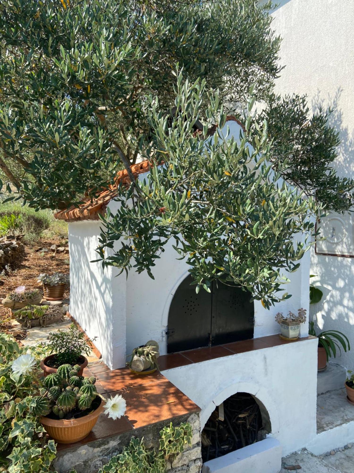 Villa Family House Ljubica à Trogir Extérieur photo